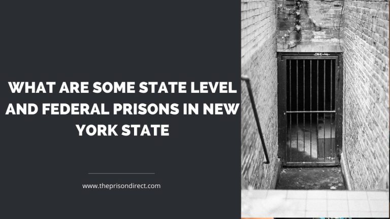 What are Some State Level and Federal Prisons in New York State