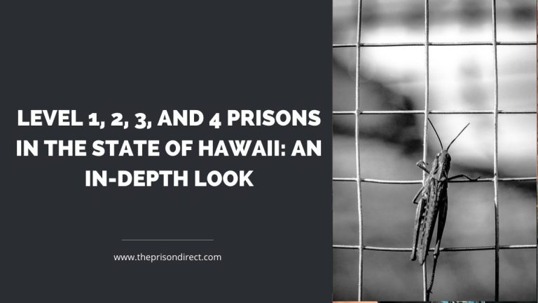 Level 1, 2, 3, and 4 Prisons in the State of Hawaii: An In-Depth Look