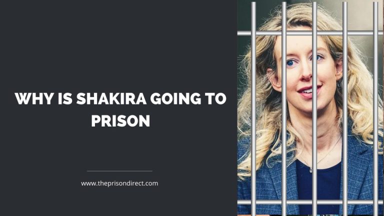 Why is Elizabeth Holmes Going to Prison