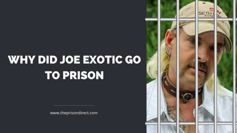 Why Did Joe Exotic Go to Prison?