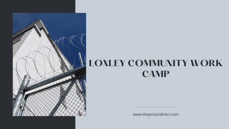 Loxley Community Work Camp: Building Stronger Communities through Volunteerism