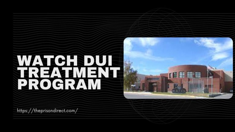 WATCh DUI Treatment Program